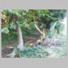 DSCN9099.JPG