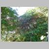 DSCN9122.JPG