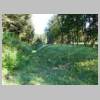 DSCN9123.JPG