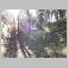 DSCN9137.JPG
