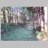 DSCN9143.JPG