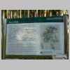 DSCN9145.JPG