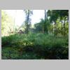 DSCN9149.JPG