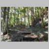 DSCN9154.JPG