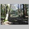DSCN9160.JPG
