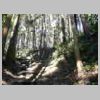 DSCN9163.JPG