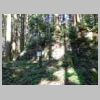 DSCN9167.JPG