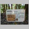 DSCN9168.JPG
