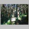 DSCN9170.JPG