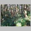 DSCN9171.JPG