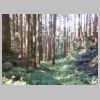 DSCN9175.JPG