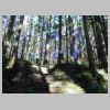 DSCN9176.JPG