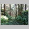 DSCN9177.JPG