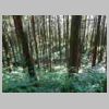 DSCN9180.JPG