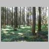 DSCN9182.JPG