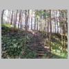 DSCN9184.JPG
