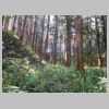 DSCN9189.JPG