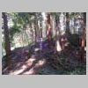 DSCN9191.JPG