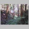 DSCN9192.JPG