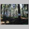 DSCN9193.JPG