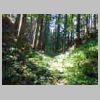 DSCN9194.JPG