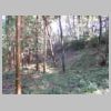 DSCN9195.JPG