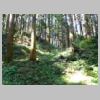 DSCN9202.JPG
