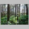 DSCN9203.JPG