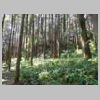 DSCN9204.JPG