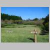 DSCN9208.JPG
