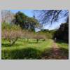 DSCN9213.JPG