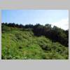DSCN9215.JPG