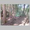 DSCN9217.JPG