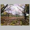 DSCN9219.JPG