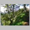 DSCN9230.JPG