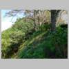 DSCN9233.JPG