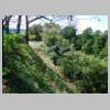 DSCN9234.JPG