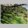DSCN9238.JPG