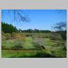 DSCN9239.JPG