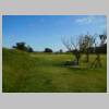 DSCN9248.JPG