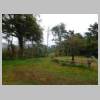 DSCN9352.JPG