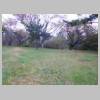 DSCN9356.JPG