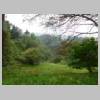 DSCN9362.JPG