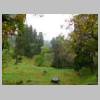 DSCN9363.JPG