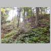 DSCN9418.JPG