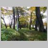 DSCN9545.JPG