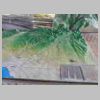 DSCN9547.JPG