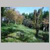 DSCN9554.JPG