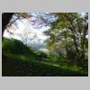 DSCN9555.JPG