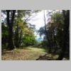 DSCN9559.JPG